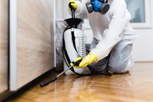 Best Best Pest Control Companies  in Lyncourt, NY
