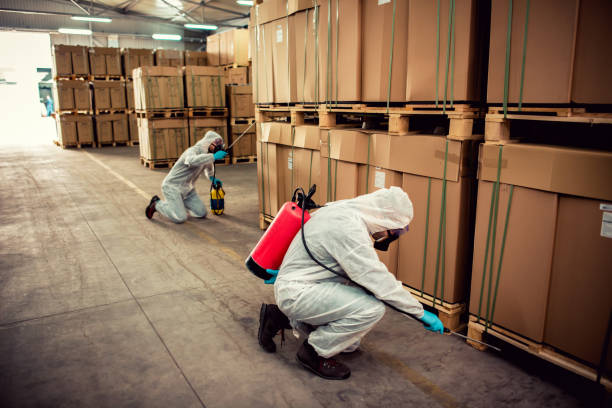 Best Termite Control Services  in Lyncourt, NY