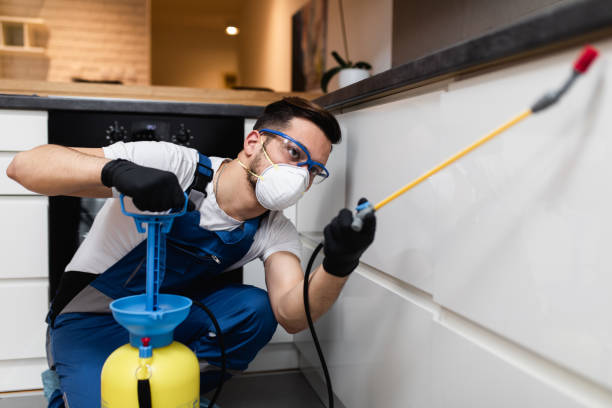 Best Pest Inspection Near Me  in Lyncourt, NY