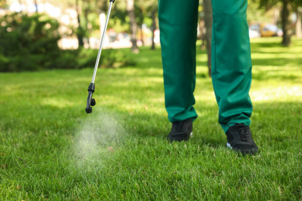 Wasp Removal Services in Lyncourt, NY
