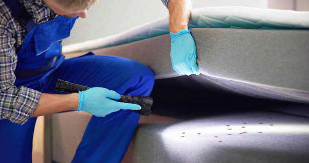 Trusted Lyncourt, NY Pest Control Experts