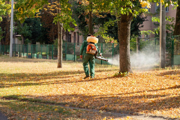 Best Residential Pest Control  in Lyncourt, NY