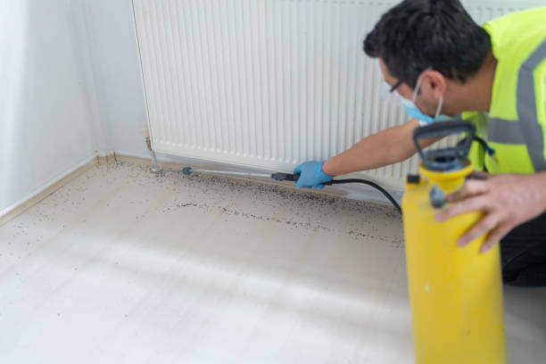 Best Pest Removal Services  in Lyncourt, NY