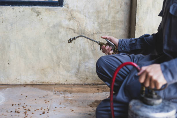 Best Affordable Pest Control Services  in Lyncourt, NY
